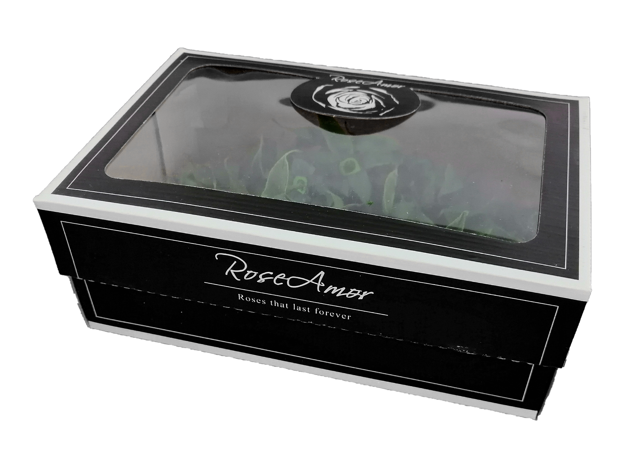 SEPALS (5) Sin fondo