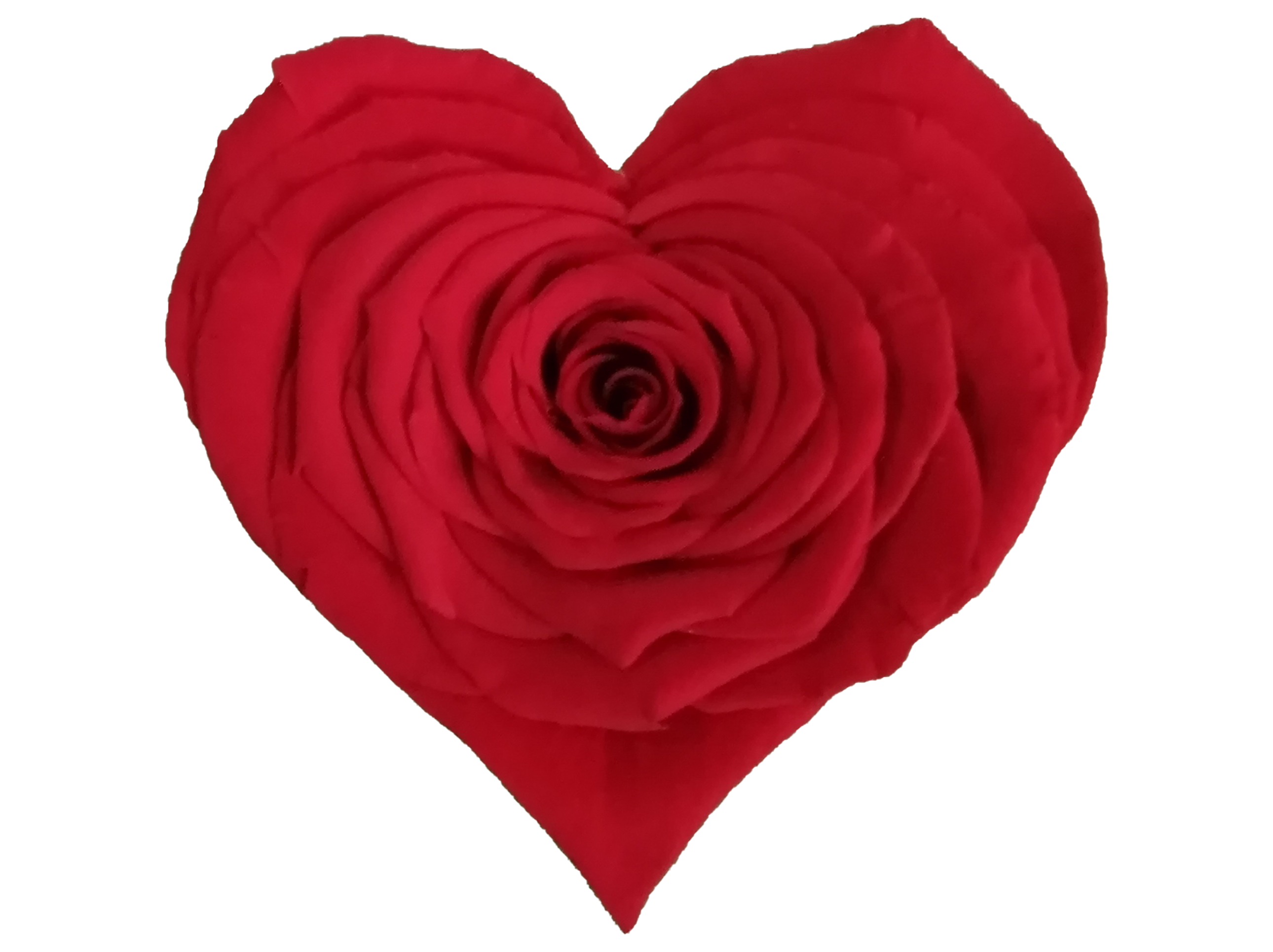 XXL HEART RED 02 (3) Sin Fondo