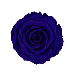 Classic natural dark blue code: BLU 03.