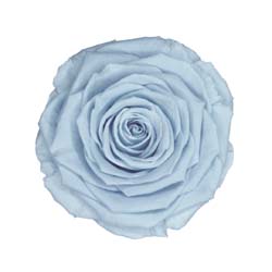 Classic natural bright blue code: BLU 89.
