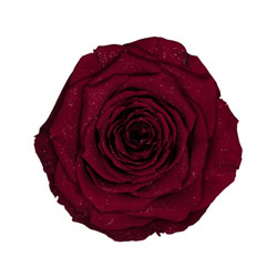 Classic natural dark red preserved rose with a diamond effect.