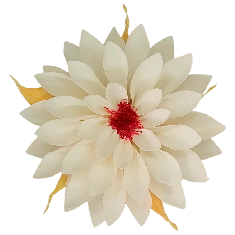 Preserved white flower, Roseamor