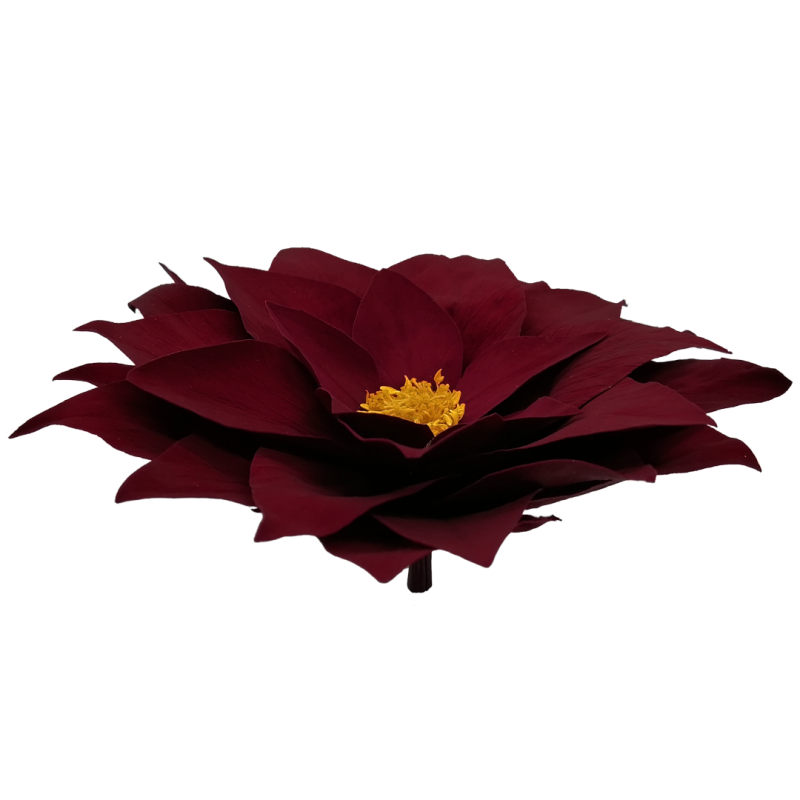 Dark Red flower, Roseamor preserved flowers