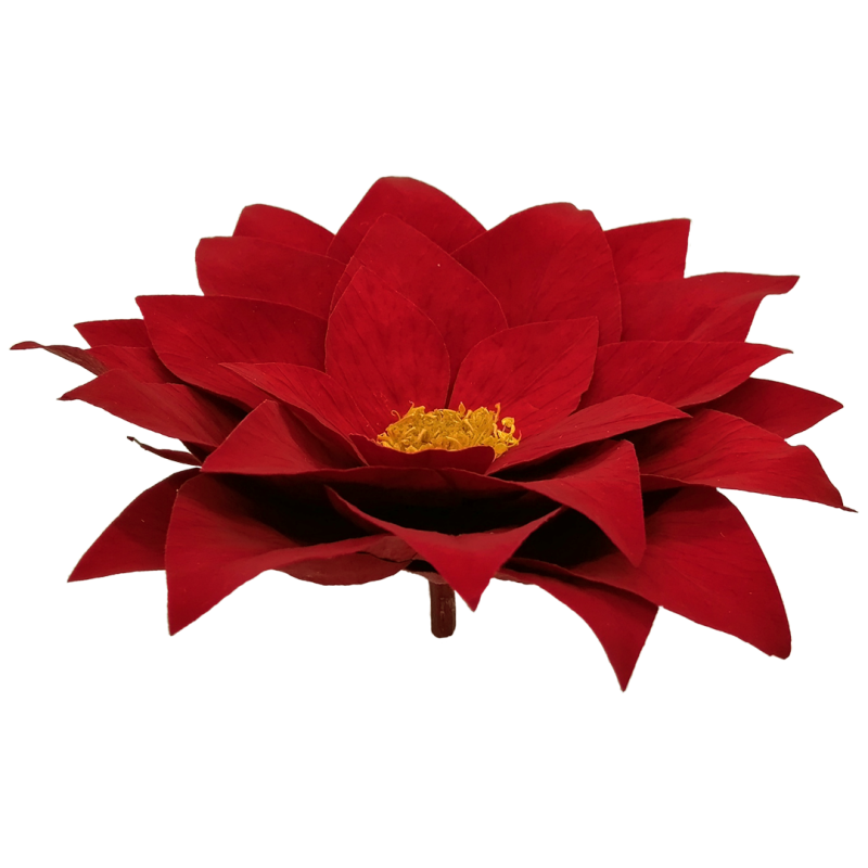 Red flower, Roseamor preserved flowers